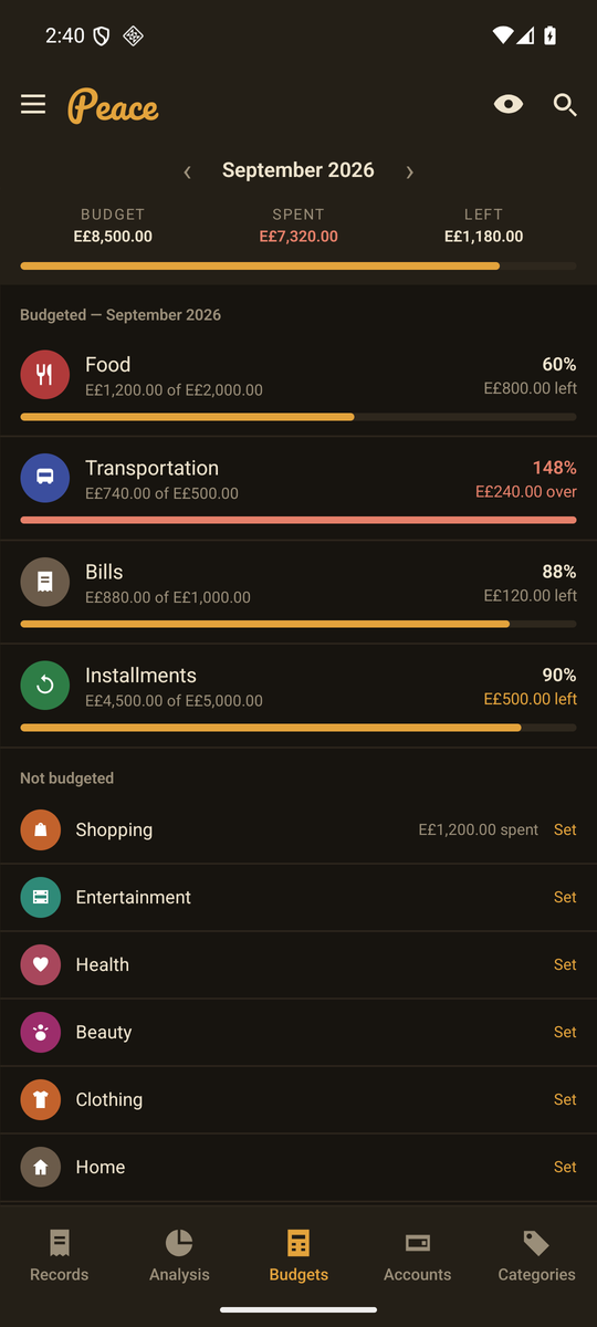 The budgets screen with four categories and progress bars, one of them over budget